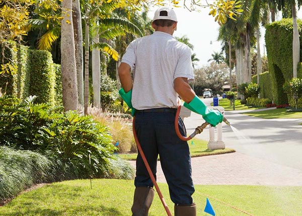About Morris GA Pest Control Pros